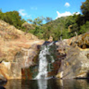 Meet your Posher, Cheyenne